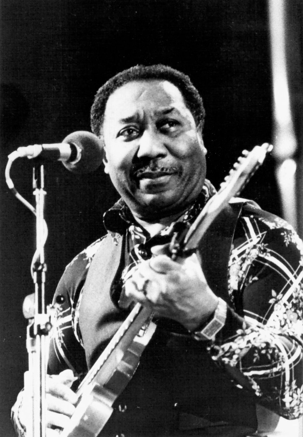 Muddy Waters performing, 1976