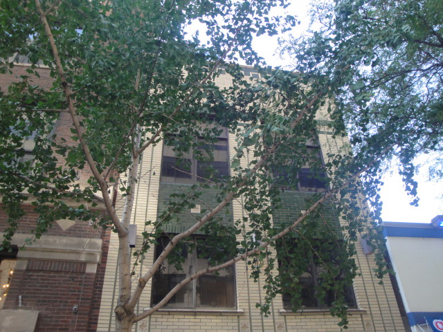 The Warehouse, 206 S. Jefferson Street, Chicago — the landmarked building as it stands on dedication day, October 5, 2024 (not the club in operation) — CultureTechLens